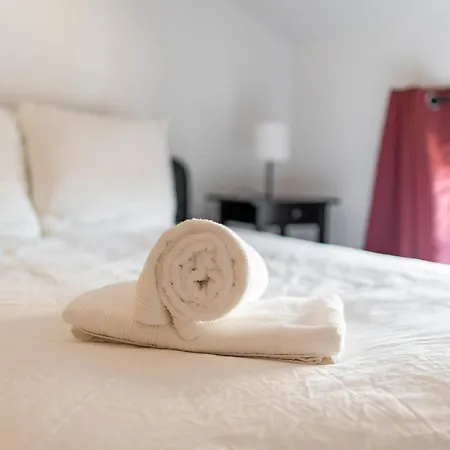 Nid Douillet Hyper Calme En Hyper Centre 알비