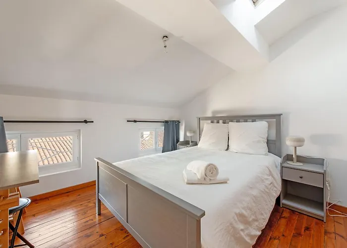 Nid Douillet Climatisé Hyper Calme En Hyper Centre Albi