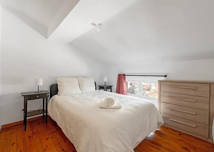 Nid Douillet Climatisé Hyper Calme En Hyper Centre * Albi