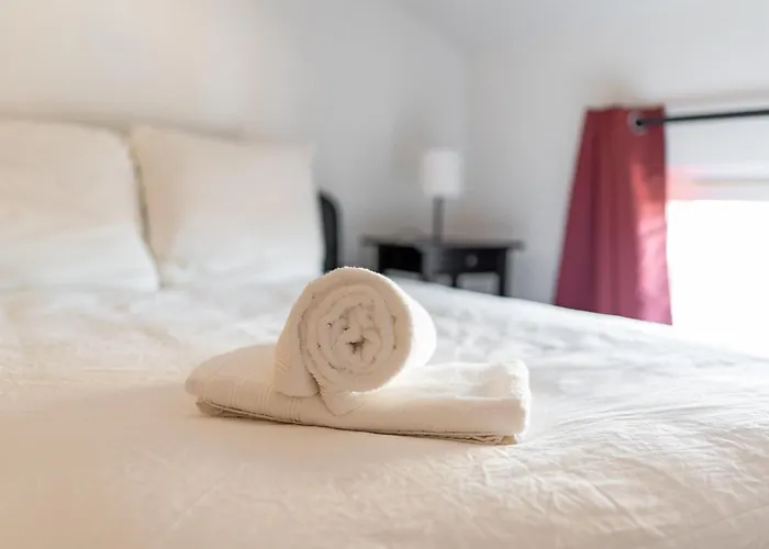 Nid Douillet Climatisé Hyper Calme En Hyper Centre Albi